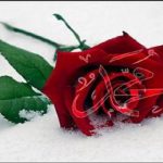 Muhammed_SAWS1_ruza